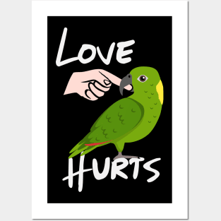 Love Hurts Yellow Naped Amazon Parrot Biting Finger Posters and Art